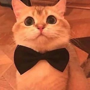 Meet your Posher, Keith